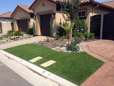 Artificial Grass Photos: Fake Pet Turf Pomona California Lawns